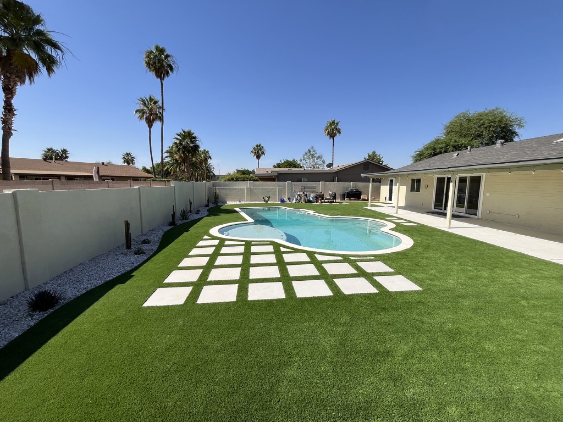 Happy dog on pet turf Phoenix AZ