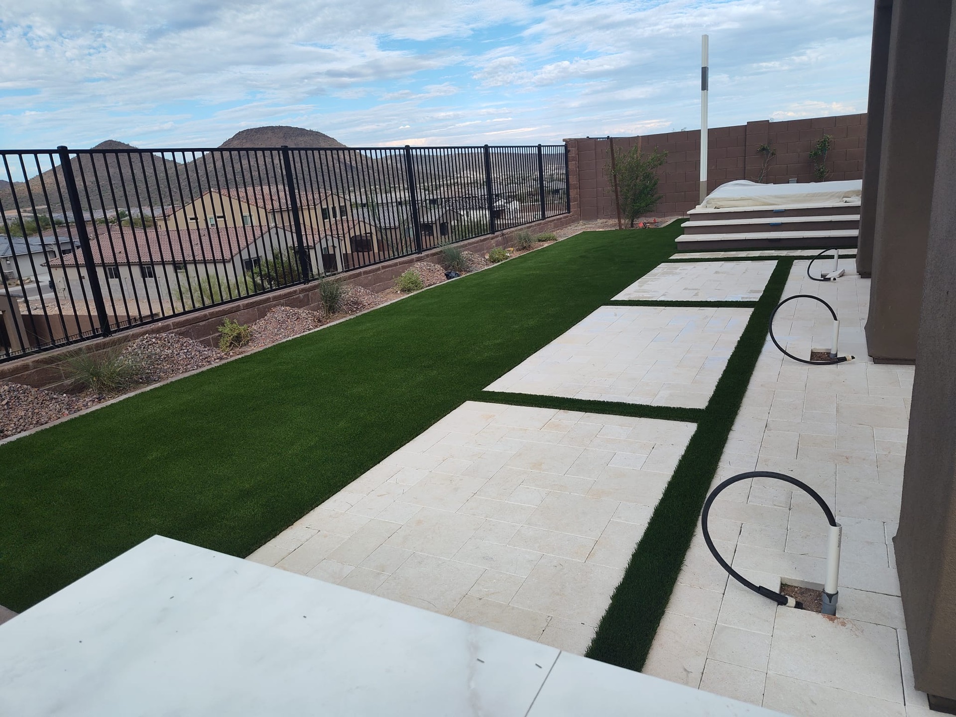 Dog on artificial turf in Phoenix Arizona backyard