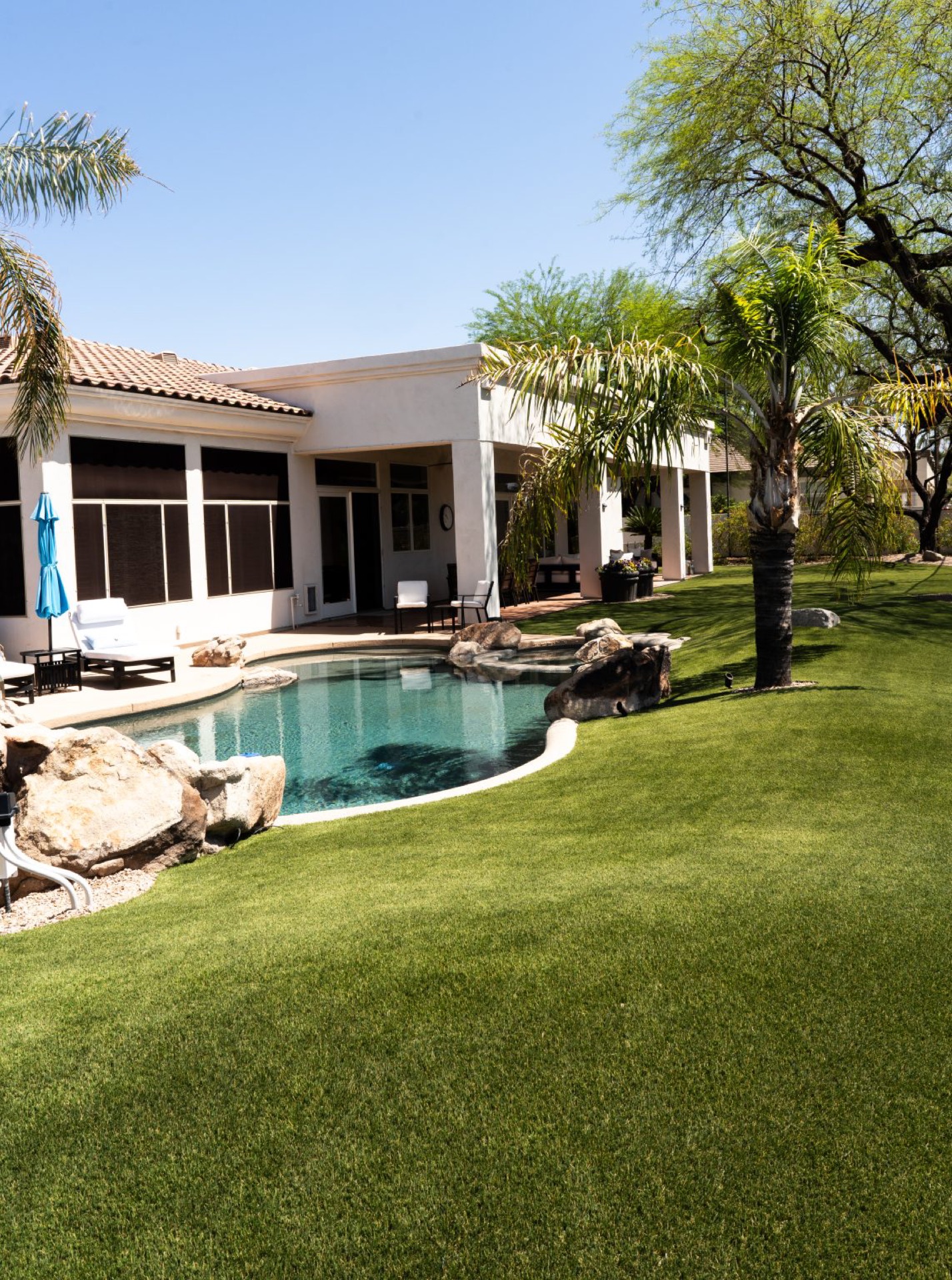 Pet turf installation Phoenix Arizona backyard